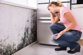 Why You Should Choose Our Mold Remediation Services in Woodville, CA